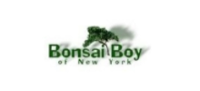 Bonsai Boy of New York